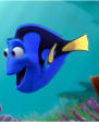 neemo.jpg